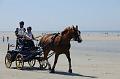 _D3X2186-Marathon des dunes de Fland